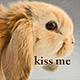 logo_sma.gif